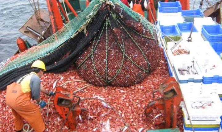 Comisión del Senado aprueba poner fin a renovación indefinida de licencias industriales de pesca 1