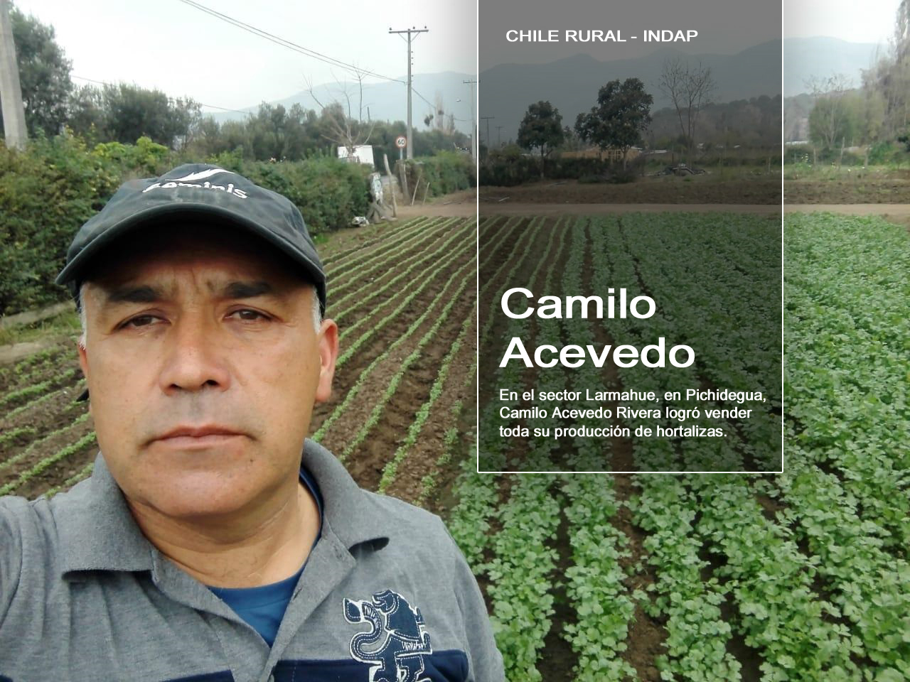 Pequeños agricultores cuentan cómo se han adaptado a las nuevas condiciones de mercado por la pandemia 1