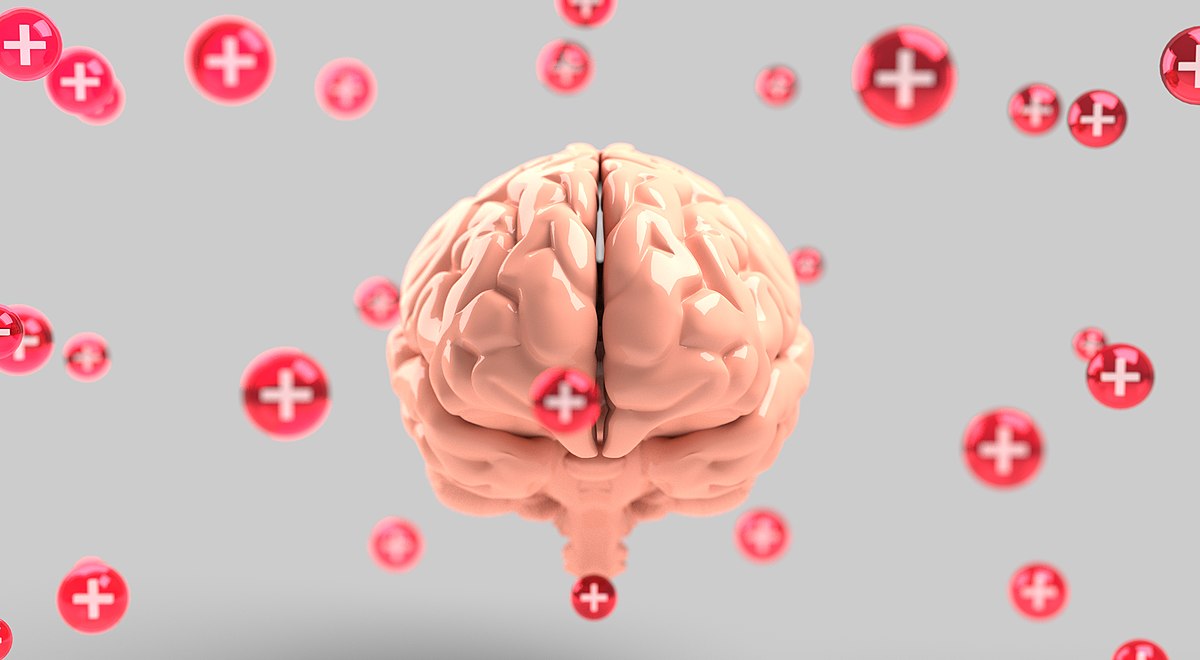 Crisis de salud mental post pandemia podría extenderse por años