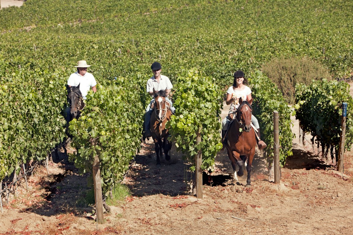 caballos Colchagua