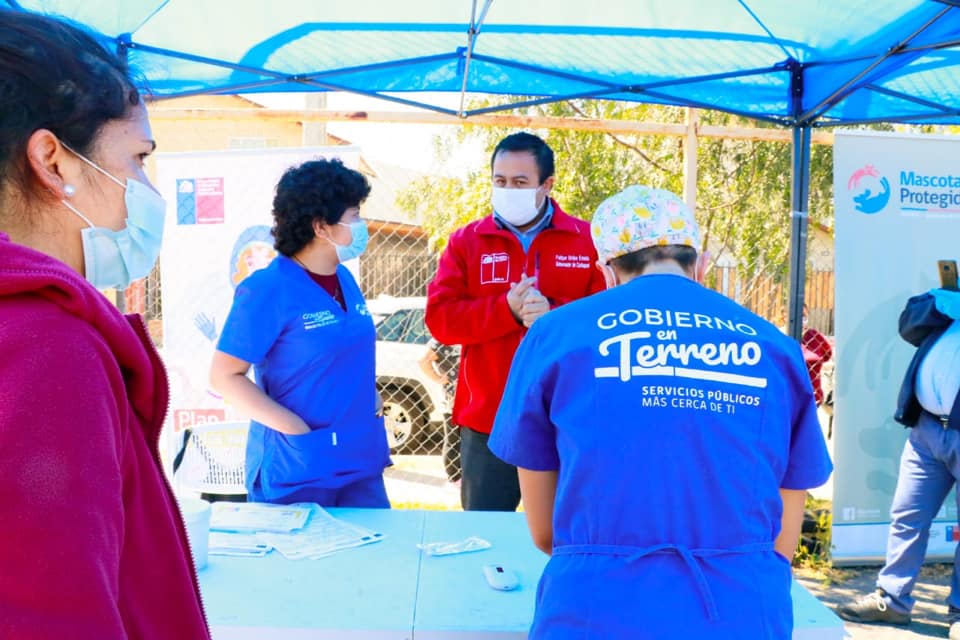 CACHAPOAL PLAN VETERINARIO EN TERRENO 1