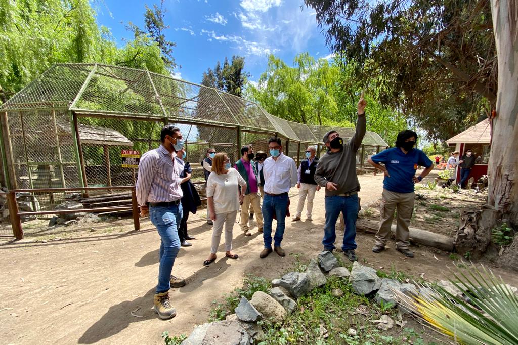 INTENDENTA COFRÉ JUNTO A SEREMIS DE SALUD Y AGRICULTURA VISITAN EL PARQUE SAFARI EL DÍA DE SU REAPERTURA