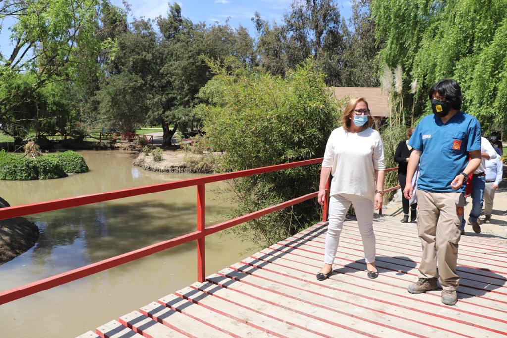 INTENDENTA COFRÉ JUNTO A SEREMIS DE SALUD Y AGRICULTURA VISITAN EL PARQUE SAFARI EL DÍA DE SU REAPERTURA 3