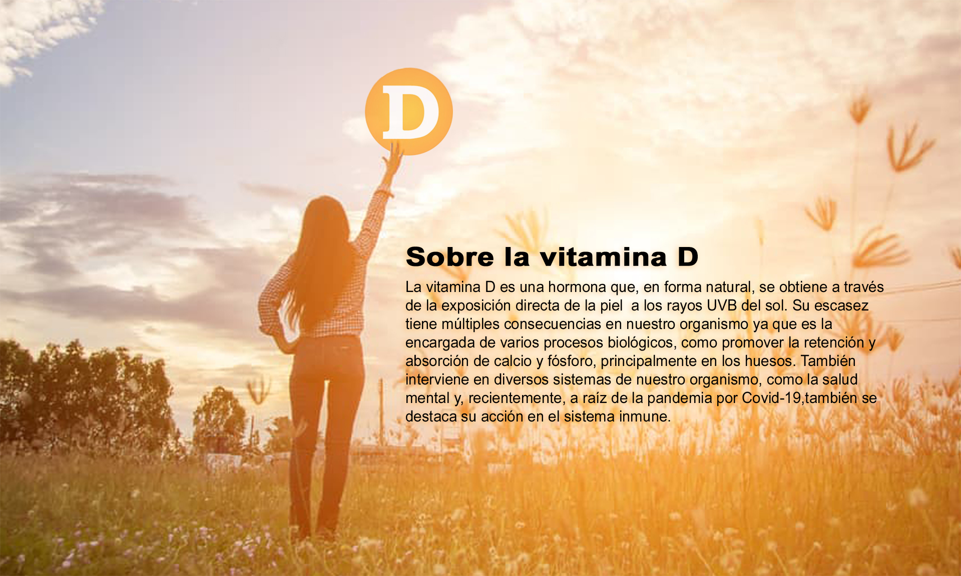 Expertos coinciden en que falta de vitamina D va en alza producto de la pandemia y alertan sobre riesgos 1