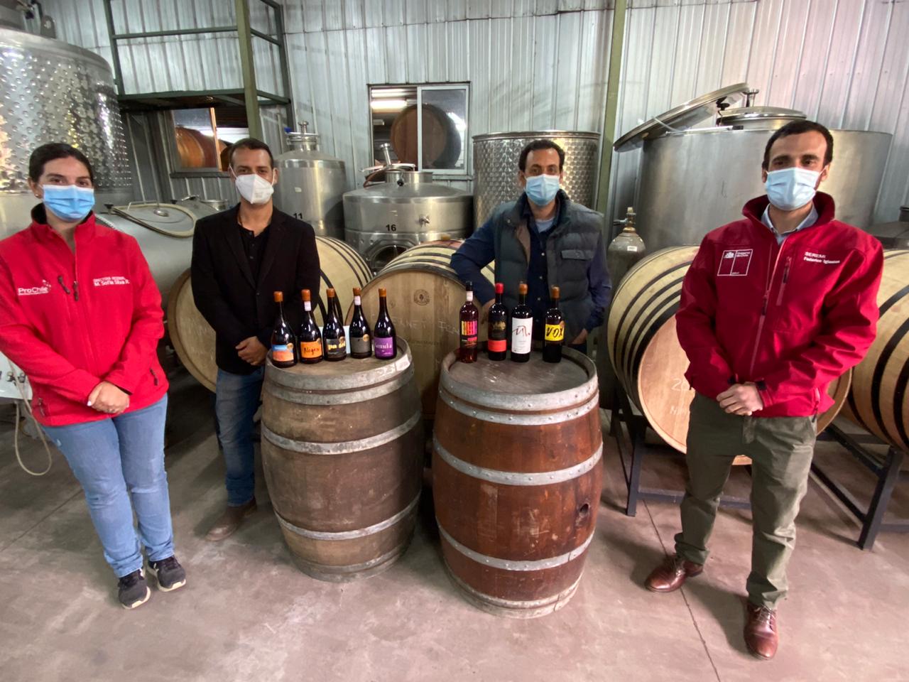 SEREMI DEL TRABAJO Y PRO CHILE OHIGGINS DAN A CONOCER SUBSIDIO AL EMPLEO PARA EL SECTOR EXPORTADOR DE VINOS1