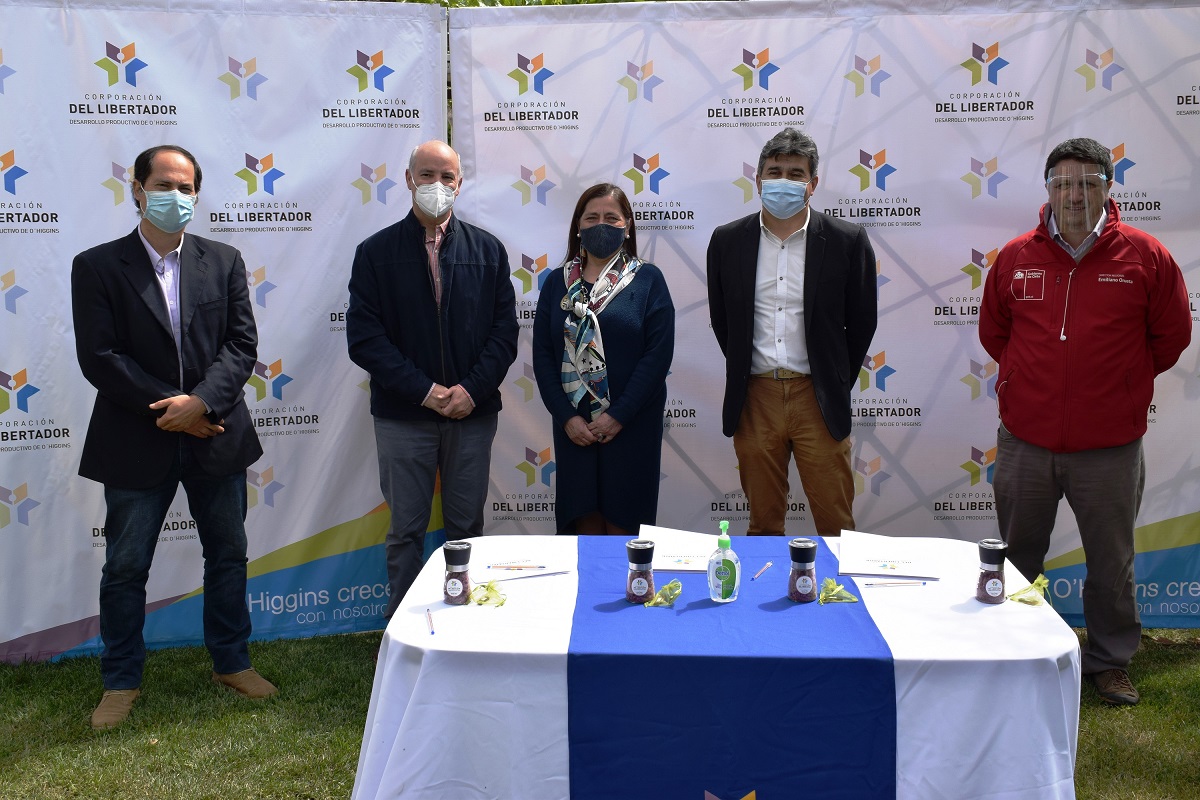 CORPORACIÓN DEL LIBERTADOR Y DESCUBRE OHIGGINS DE CORFO FIRMAN CONVENIO QUE IMPULSARÁ VIGILANCIA TECNOLÓGICA DEL TURISMO 1
