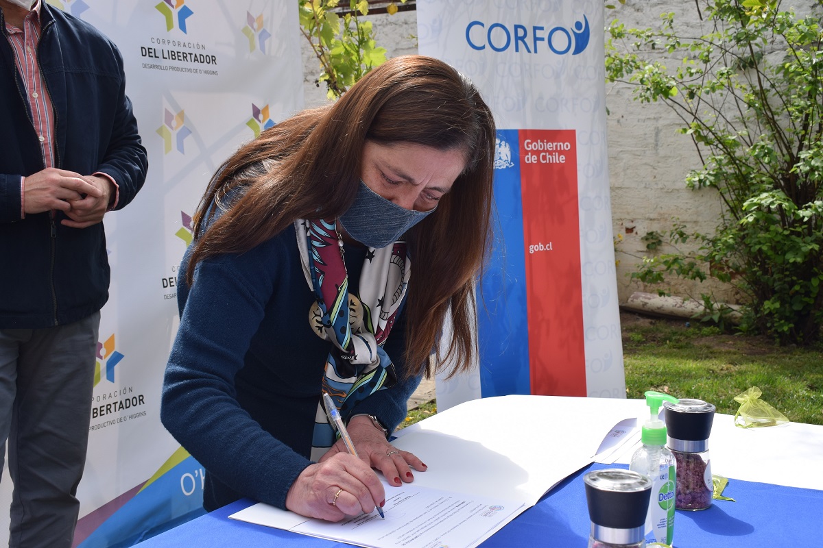 CORPORACIÓN DEL LIBERTADOR Y DESCUBRE OHIGGINS DE CORFO FIRMAN CONVENIO QUE IMPULSARÁ VIGILANCIA TECNOLÓGICA DEL TURISMO 3