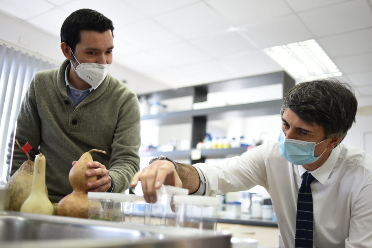 MINISTRO DE CIENCIA VISITA CENTROS DE INVESTIGACIÓN VINCULADOS AL DESARROLLO AGRÍCOLA DE OHIGGINS
