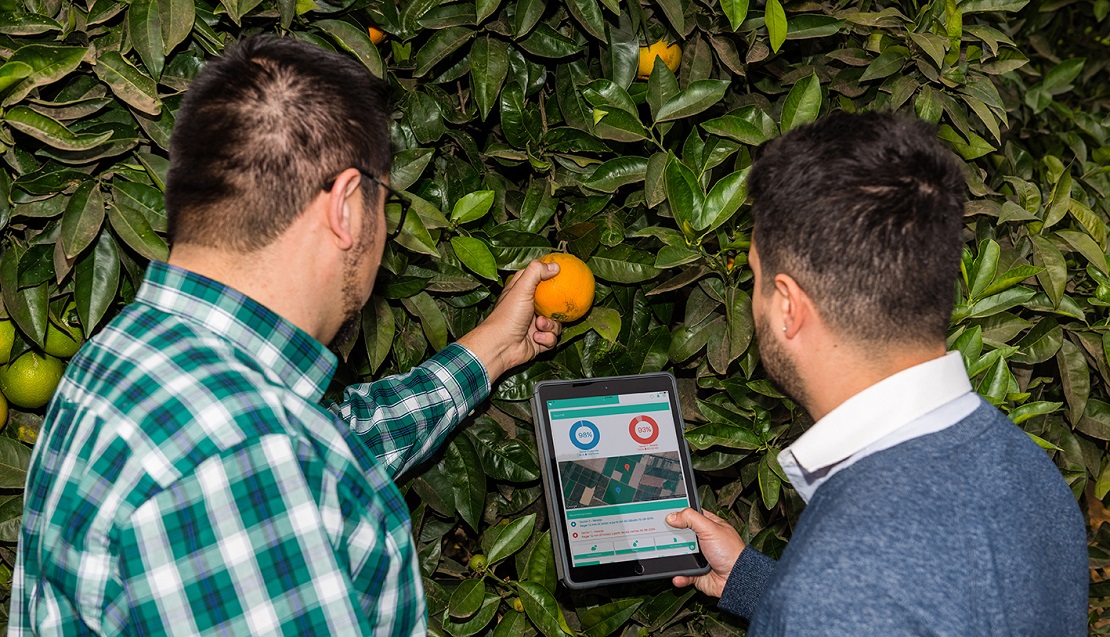 AGRICULTURA APLICACIÓN DIGITAL PUEDE SER CLAVE PARA ENFRENTAR LA SEQUÍA 1