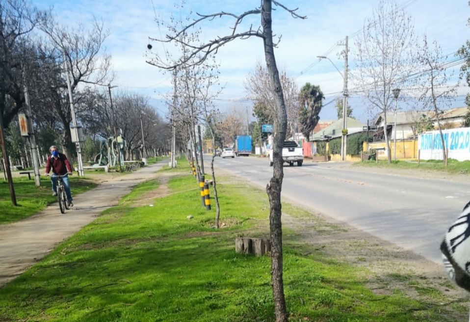 ESTE MES COMIENZA EL PROCESO PARA CAMBIAR EL ROSTRO DE AVENIDA LA COMPAÑÍA