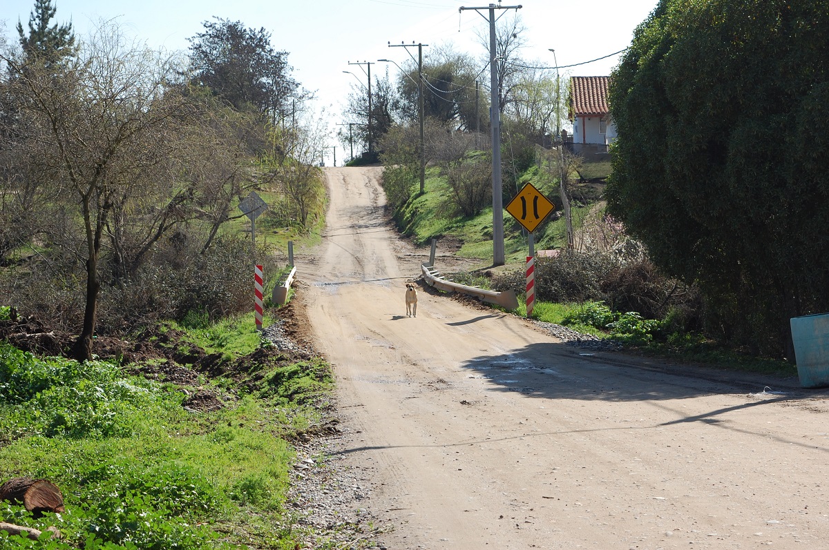 SEREMI MOP OHIGGINS INSPECCIONA AVANCE DE CAMINOS RURALES Y ANUNCIA PAVIMENTACIÓN 2021 EN PERALILLO 5