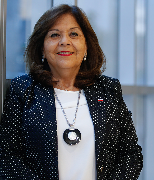MINISTERIO DE LA MUJER SUBSECRETARÍA DEL TRABAJO Y SENCE SUMAN 6 NUEVOS CURSOS AL PROGRAMA DE CAPACITACIÓN MUJER DIGITAL SEREMI MARCIA PALMA