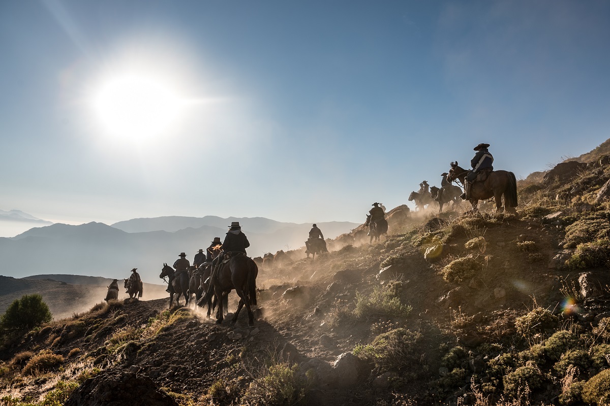 SEGUNDA MESA REGIONAL PARA EL DESARROLLO SUSTENTABLE DE LA ACTIVIDAD ARRIERA ABORDÓ ACCIONES DE INSPECCIÓN REGISTRO Y BUENAS PRÁCTICAS EN TURISMO AVENTURA créditos Rodrigo Suazola Elizondo