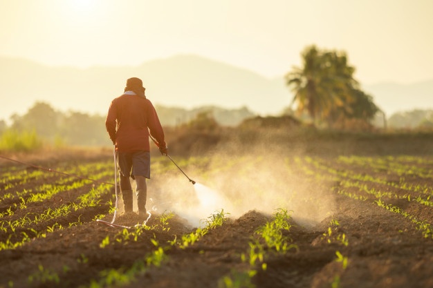 AGRICULTORES DEL PAÍS DISPONEN DE MANUAL SOBRE USO DE PLAGUICIDAS