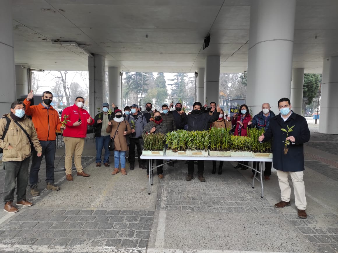 CORMA DONA 500 ÁRBOLES NATIVOS A BOMBEROS Y JUNTAS DE VECINOS DE ÑUBLE 3