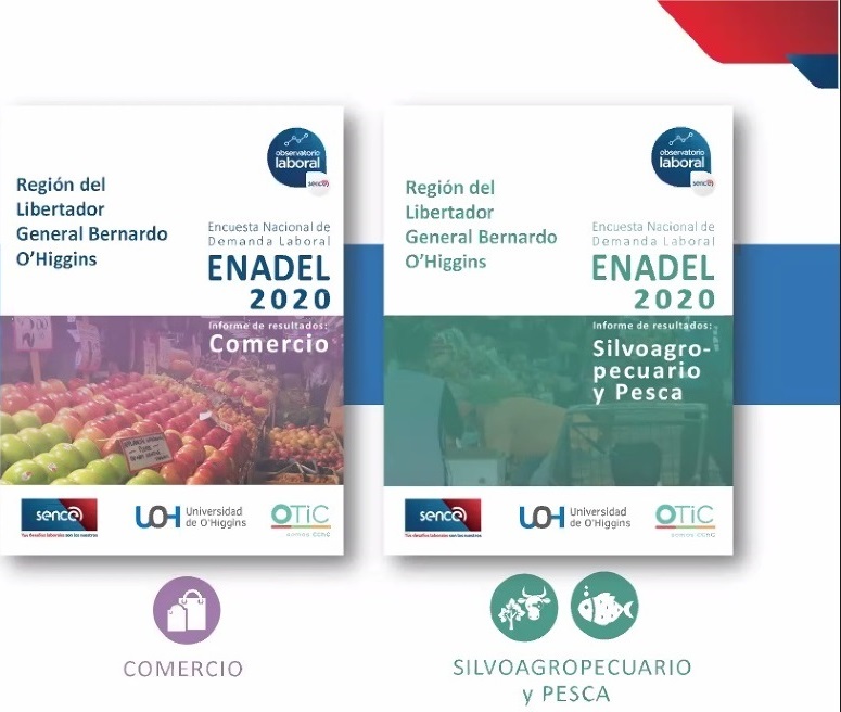 COMITÉ ASESOR DEL OBSERVATORiO LABORAL ANALIZÓ RESULTADOS DE ENCUESTA SOBRE SECTORES DEL COMERCIO Y SILVOAGROPECUARIO EN LA REGIÓN a