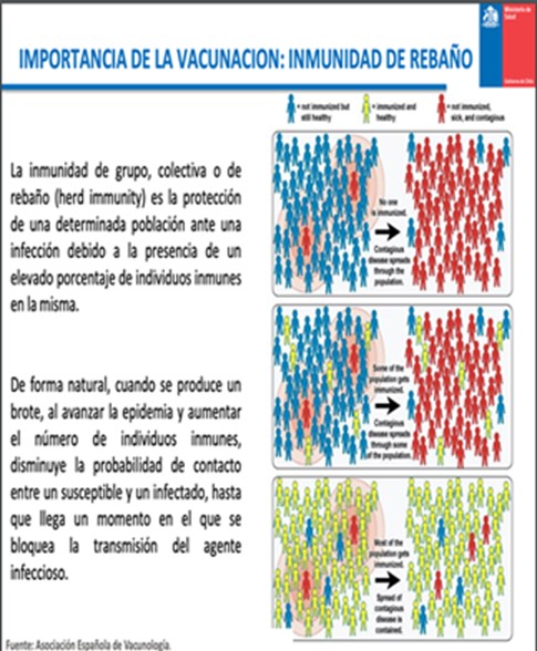 DOCTOR EN MICROBIOLOGÍA Y GENÉTICA MOLECULAR EXPLICA LA CAPACIDAD PROTECTORA DE LAS VACUNAS CONTRA EL COVID 19 inmunidad de rebaño