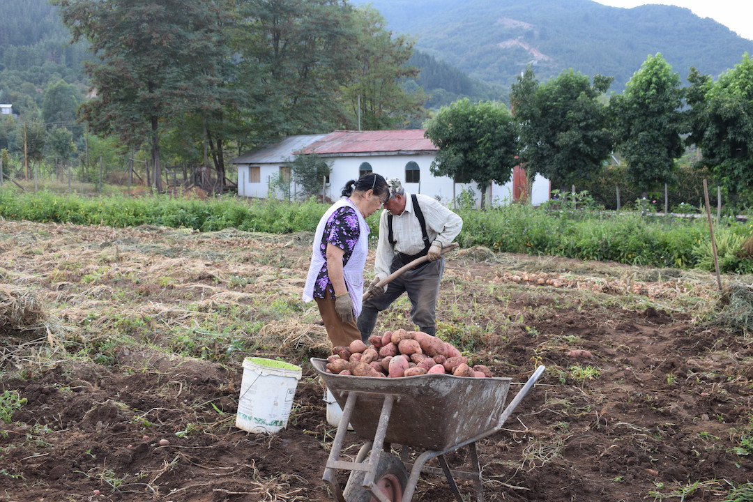 FALTA DE AGUA PARA PRODUCIR ALIMENTOS ES LA PRINCIPAL PREOCUPACIÓN DE PEQUEÑOS AGRICULTORES