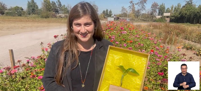 Syngenta reconoce trabajo de productores por una agricultura sustentable Ganadora Premio Syngenta