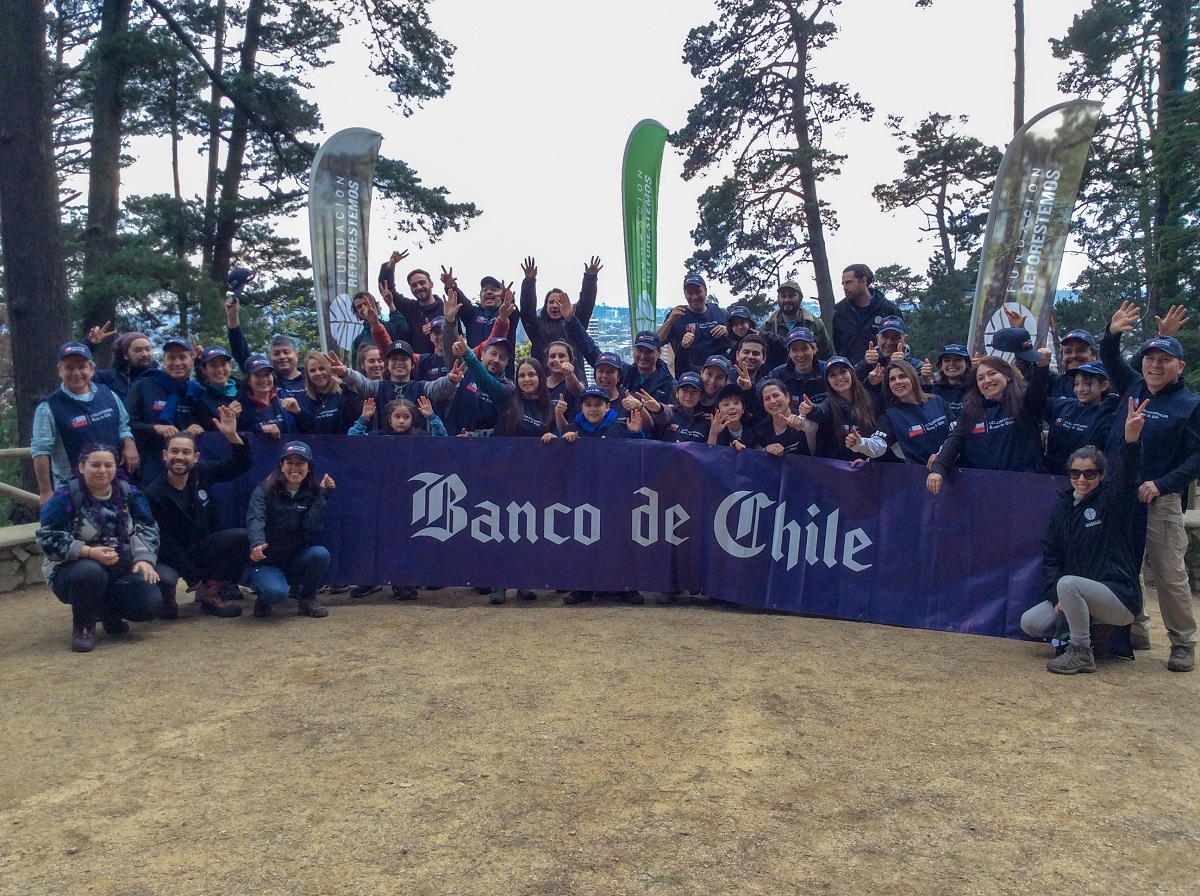 CUADRILLA AZUL DE BANCO DE CHILE CIERRA CON VOLUNTARIADO CORPORATIVO EN CONCEPCIÓN Y REALIZA LA REFORESTACIÓN DE MÁS DE 25 MIL ÁRBOLES NATIVOS