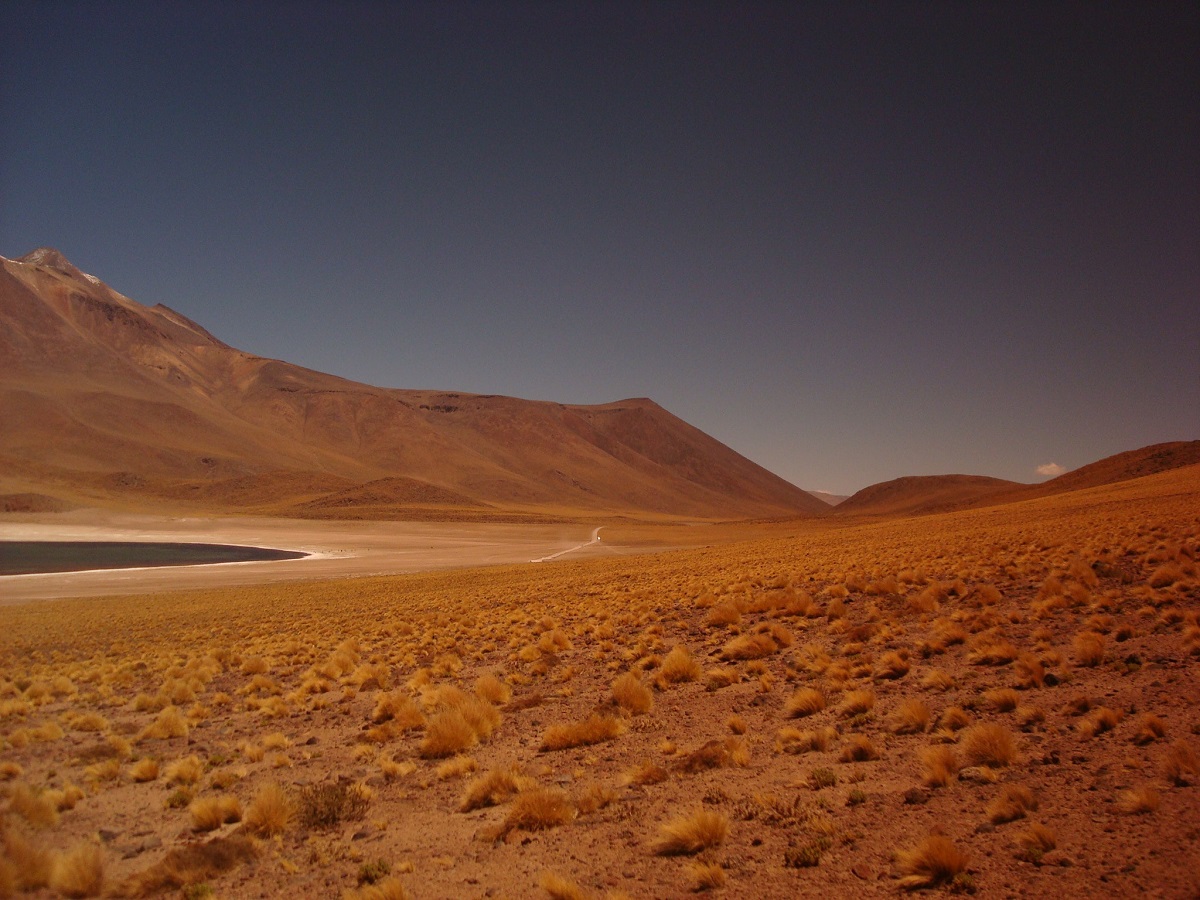 DE NORTE A SUR CUATRO ACTIVIDADES ECONÓMICAS PARA CONOCER CHILE DURANTE ESTE FIN DE SEMANA LARGO 1