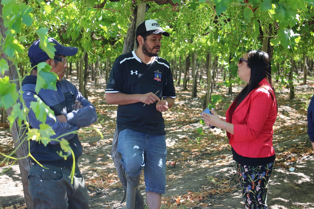 Gobierno fiscalizó condiciones laborales de trabajadores agrícolas en Nancagua 2