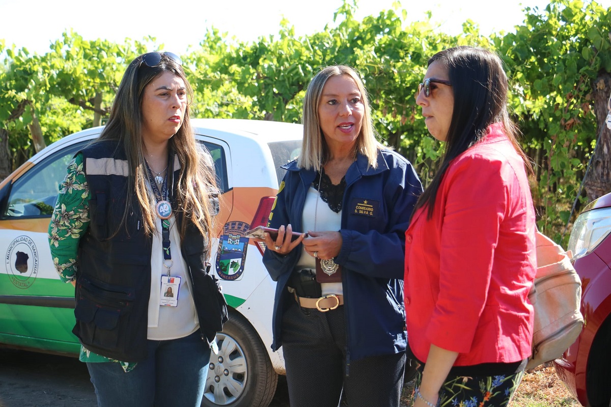 Gobierno fiscalizó condiciones laborales de trabajadores agrícolas en Nancagua 4