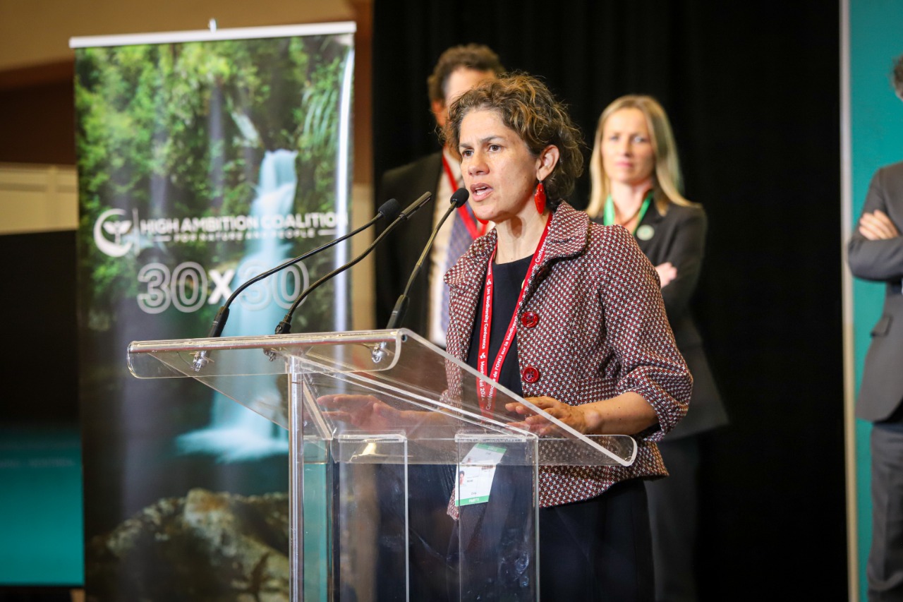 SE LOGRA PACTO HISTÓRICO EN LA COP15 DE BIODIVERSIDAD 196 PAÍSES ACUERDAN PROTEGER EL 30 DEL PLANETA AL AÑO 2030 2