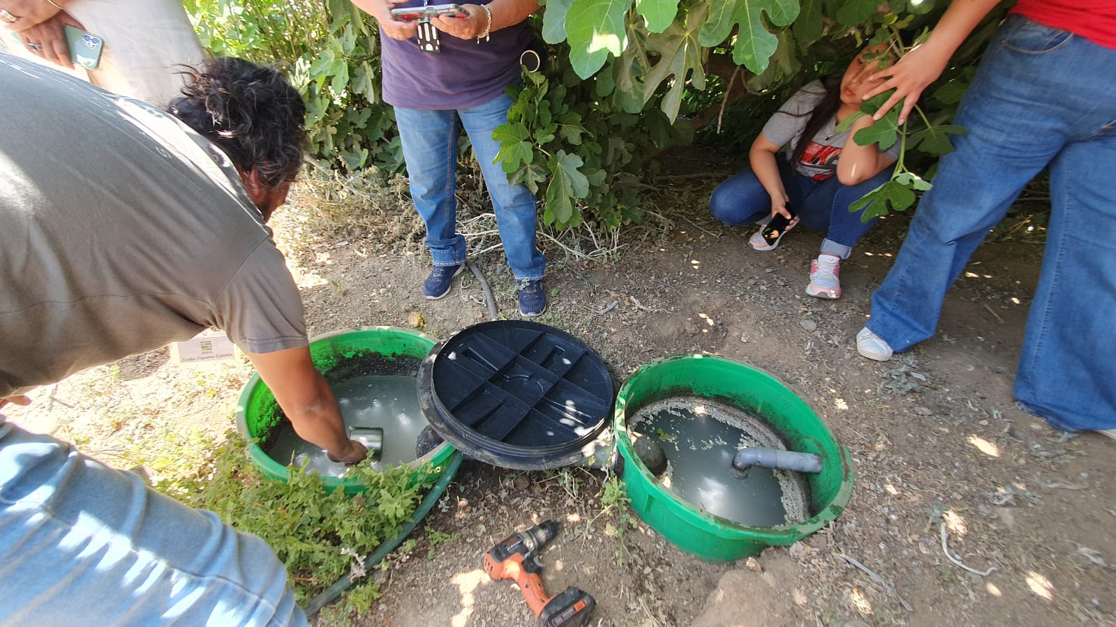 DEL DESAGÜE DE LA LAVADORA HASTA LOS CULTIVOS BIOFILTRO IMPLEMENTADO POR INIA RAYENTUÉ REUTILIZA AGUAS GRISES 4