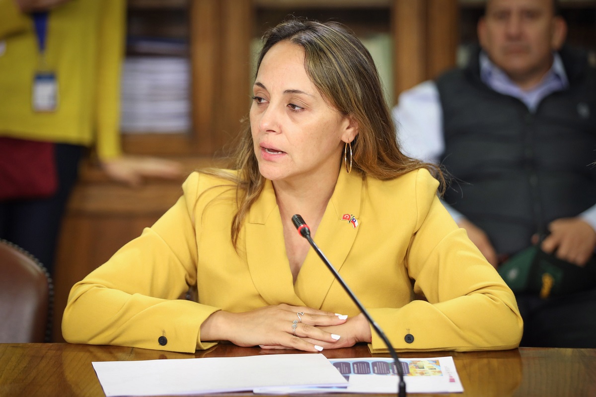 DIPUTADA MORALES EXIGE AL GOBIERNO MEDIDAS PARA ENFRENTAR EL ALZA DE ALIMENTOS