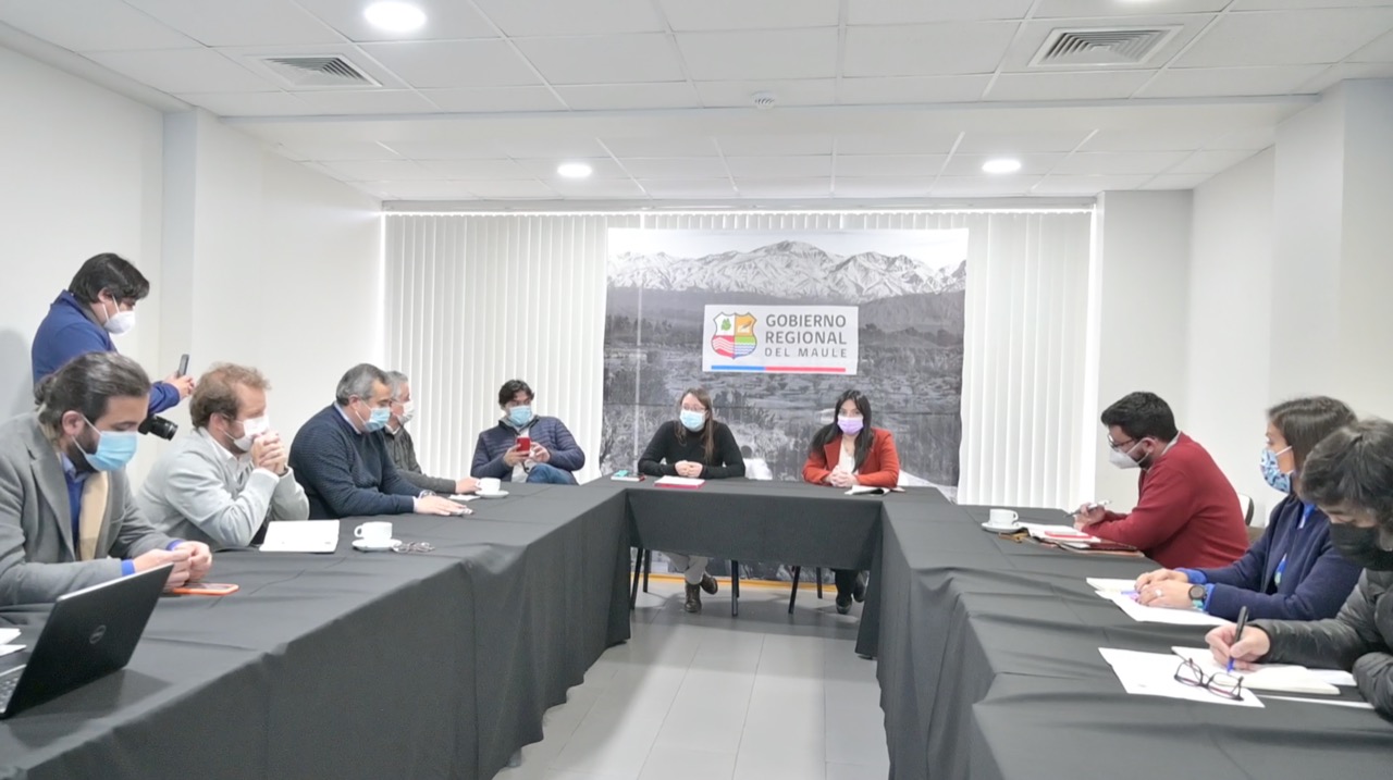 EL MAULE GOBIERNO REGIONAL SOSTIENE REUNIÓN PARA AVANZAR EN POLÍTICAS PÚBLICAS DE GÉNEROWhatsApp Image 2022 07 01 at 12.02.24 PM