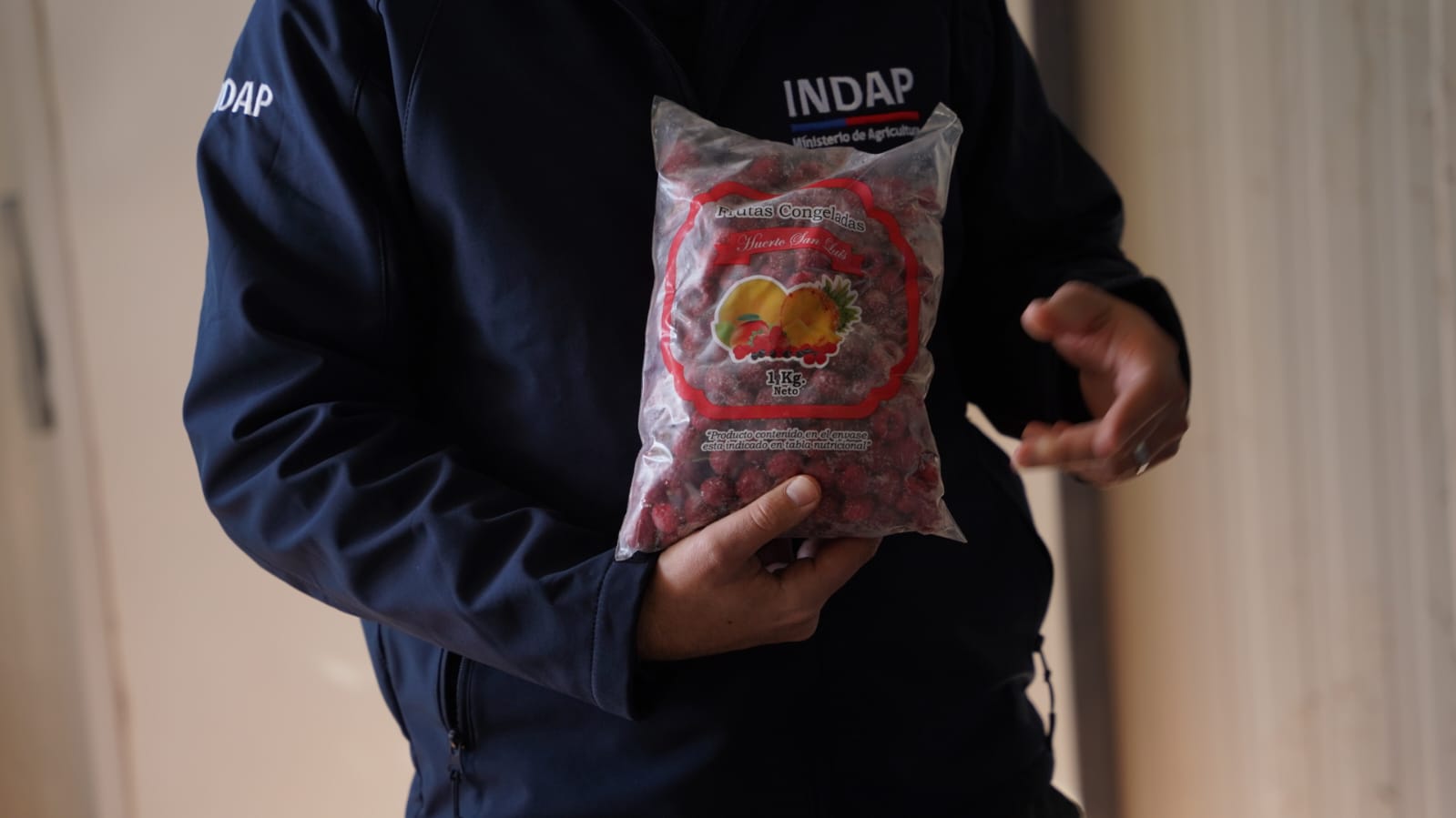 APOYOS A CASI CINCO MIL PRODUCTORES AGRÍCOLAS MARCAN VISITA DEL DIRECTOR NACIONAL DE INDAP A OHIGGINS Entregas INDAP SiembraXChile RegiónOHiggins 3
