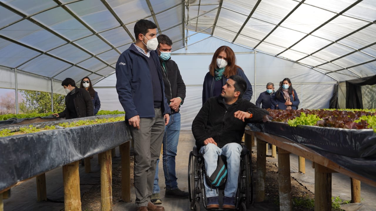 APOYOS A CASI CINCO MIL PRODUCTORES AGRÍCOLAS MARCAN VISITA DEL DIRECTOR NACIONAL DE INDAP A OHIGGINS Entregas INDAP SiembraXChile RegiónOHiggins 4