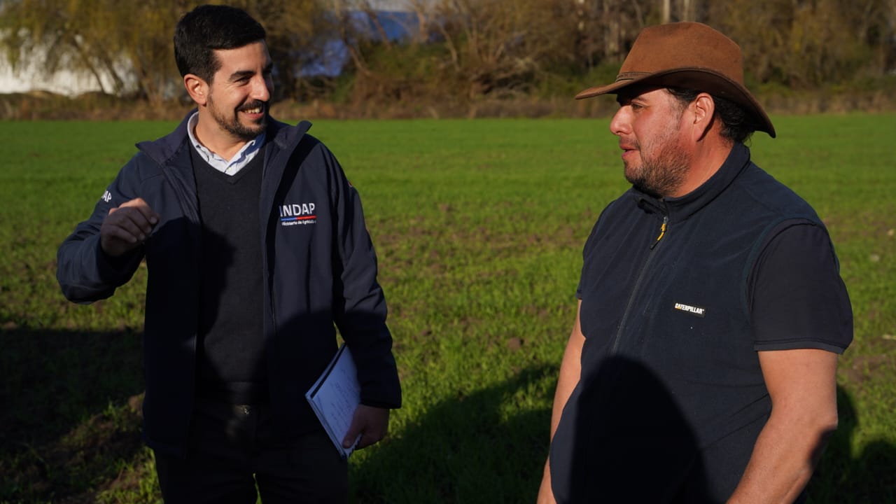 APOYOS A CASI CINCO MIL PRODUCTORES AGRÍCOLAS MARCAN VISITA DEL DIRECTOR NACIONAL DE INDAP A OHIGGINS Entregas INDAP SiembraXChile RegiónOHiggins 2