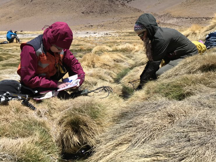 De izquierda a derecha, Camila Poblete-González y Dra. Fernanda Álvarez en trabajo de campo en Salar de Atacama ESTUDIO APORTA DATOS INÉDITOS SOBRE PROCESO DE CONCENTRACIÓN DE LITIO EN EL NORTE DE CHILE 2