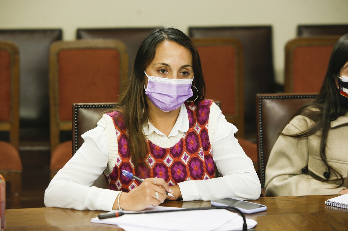 DIPUTADA CARLA MORALES RN SOLICITÓ AL GOBIERNO UN PLAN DE ACCIÓN PARA PROTEGER LA SALUD MENTAL DE LAS MUJERES EN EL TRABAJO