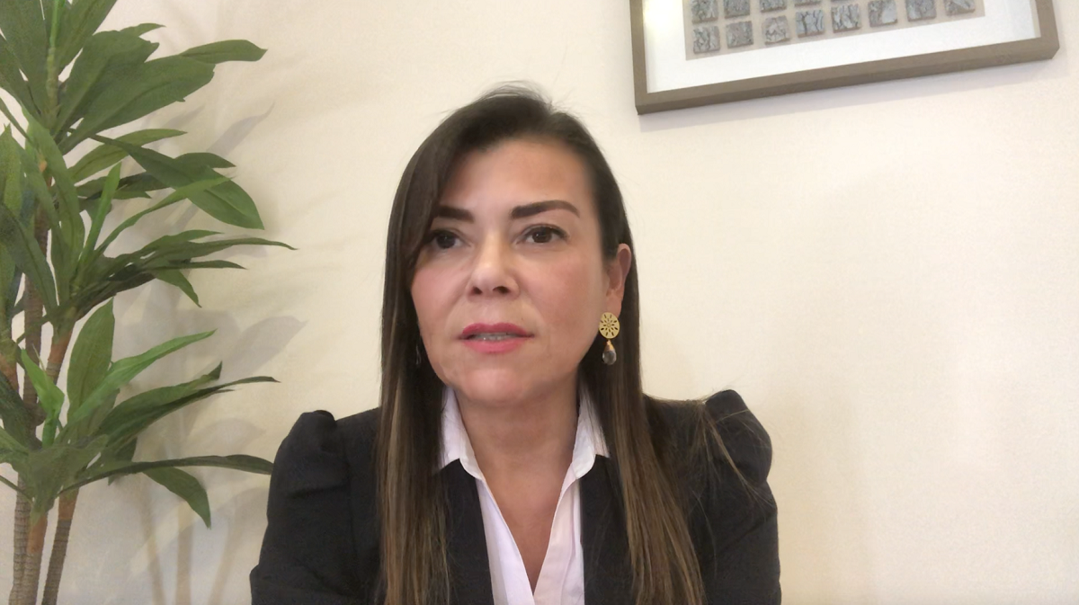 EL MAULEPERCEPCIÓN DEL CONSUMIDOR SE MANTIENE EN NIVEL LEVEMENTE PESIMISTA Jennifer Rivera Arroyo Vicedecana Facultad Administración y Negocios UA