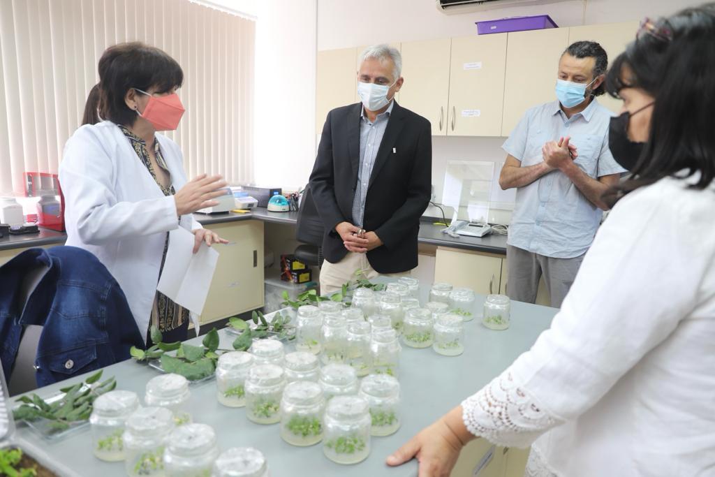 GOBIERNO REGIONAL DE OHIGGINS ABRE PROCESO PARA POSTULAR AL FONDO DE INNOVACIÓN PARA LA COMPETITIVIDAD FIC 1