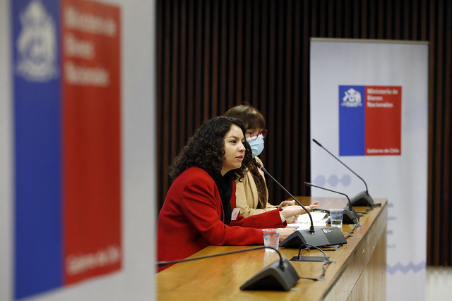 MINISTERIO DE BIENES NACIONALES ENCABEZA PRIMERA JORNADA DE PLANIFICACIÓN CON SEREMIS DEL PAÍS 3