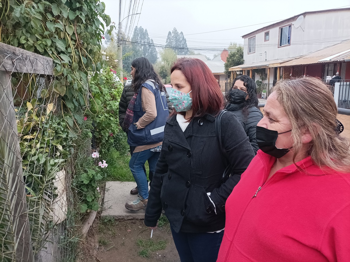 DIRECTORA S SERVIU VISITANBSPLAS CABRAS Y MONITOREANBSPCOMITÉ PADRE HURTADO LAS CABRAS 1