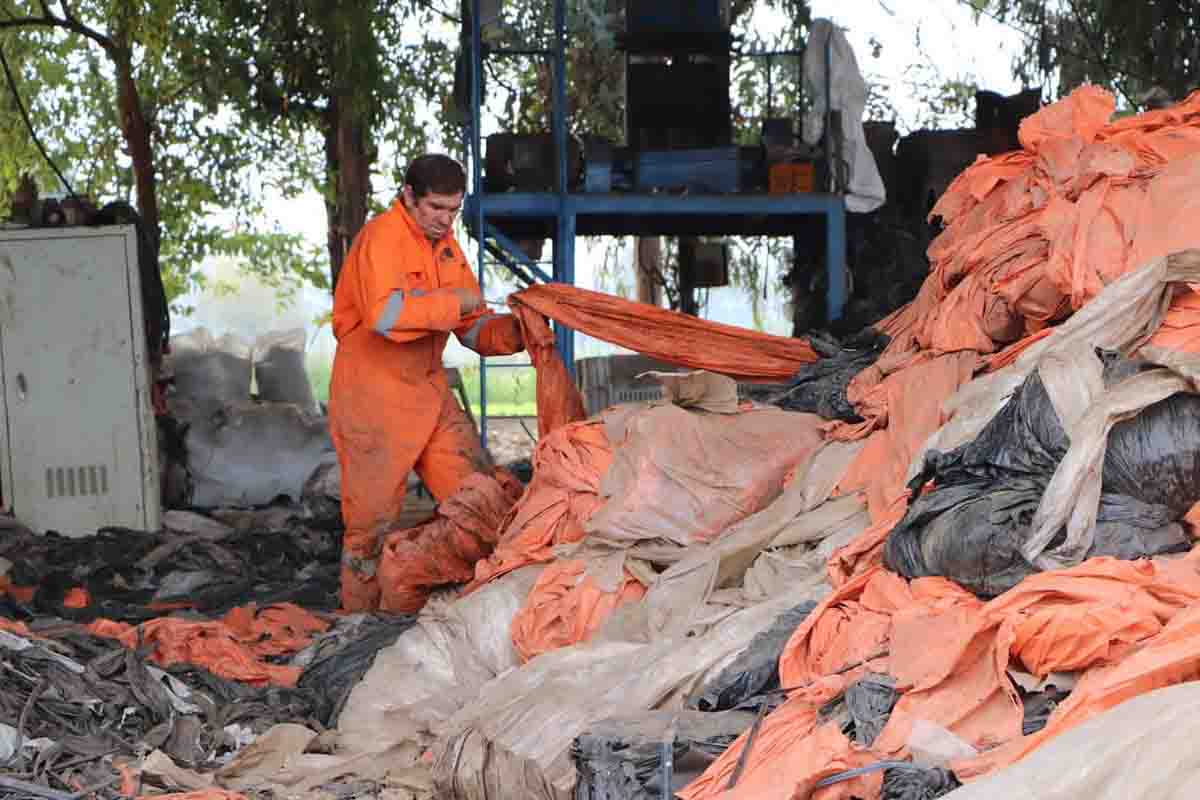 RENÉ ARCE GÁLVEZ AGRICULTOR DE QUINTA DE TILCOCO APOSTÓ POR CUIDAR EL MEDIO AMBIENTE Y ESTE AÑO YA HA RECICLADO 100 TONELADAS DE PLÁSTICO reciclando