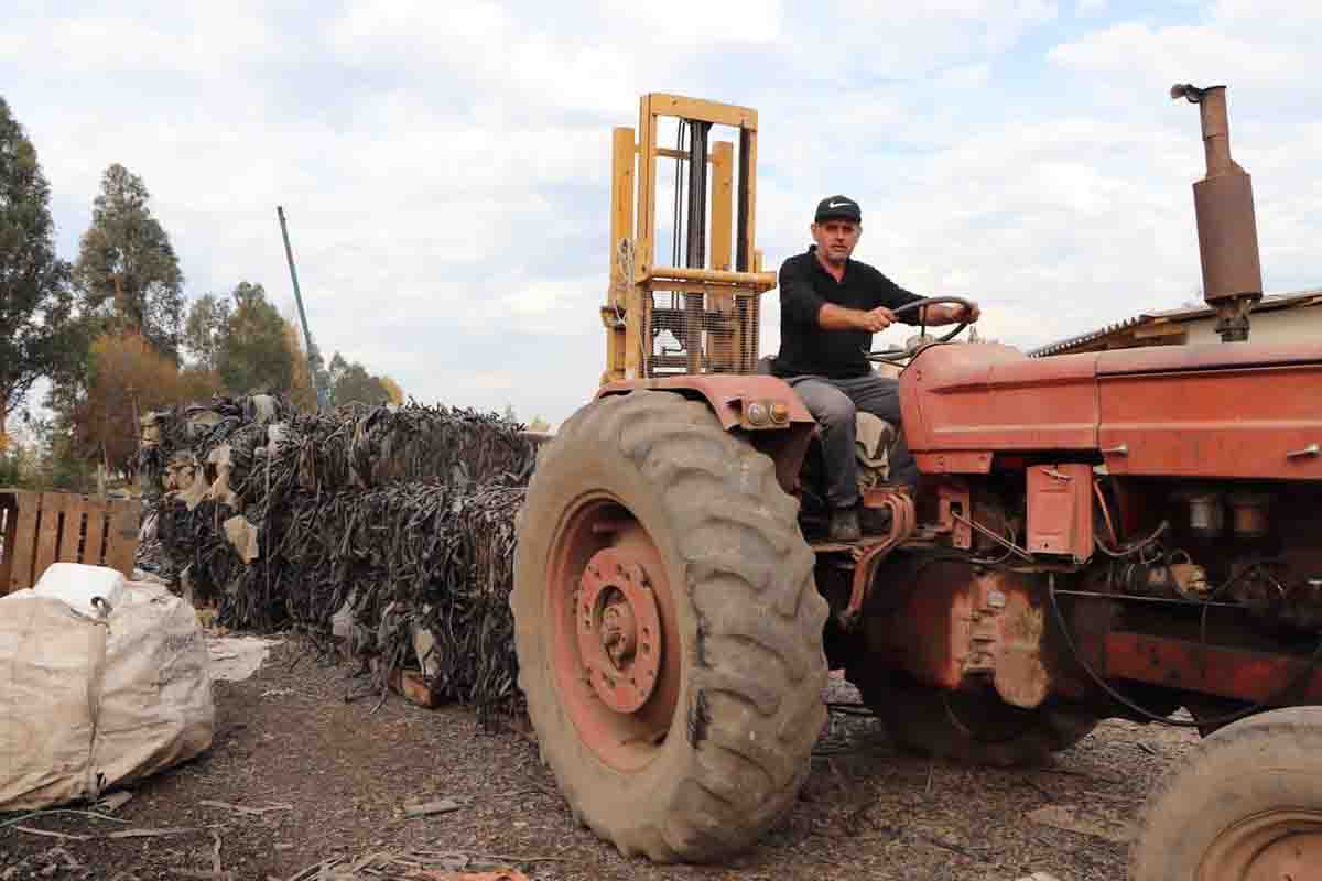 RENÉ ARCE GÁLVEZ AGRICULTOR DE QUINTA DE TILCOCO APOSTÓ POR CUIDAR EL MEDIO AMBIENTE Y ESTE AÑO YA HA RECICLADO 100 TONELADAS DE PLÁSTICO en tractor