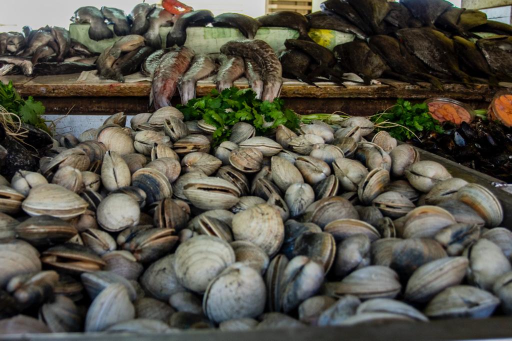 CON ÉXITO SE DESARROLLÓ SABORES Y TRADICIONES DE CALETA DUAO Duao6