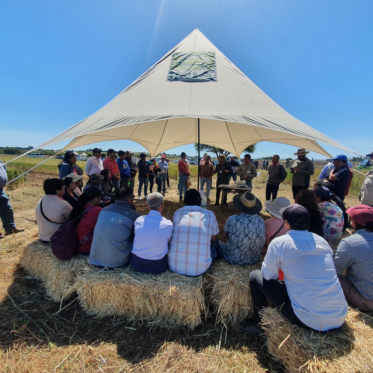 TRADICIONAL DÍA DE CAMPO REÚNE A MÁS DE 100 AGRICULTORES EN INIA HIDANGO 1