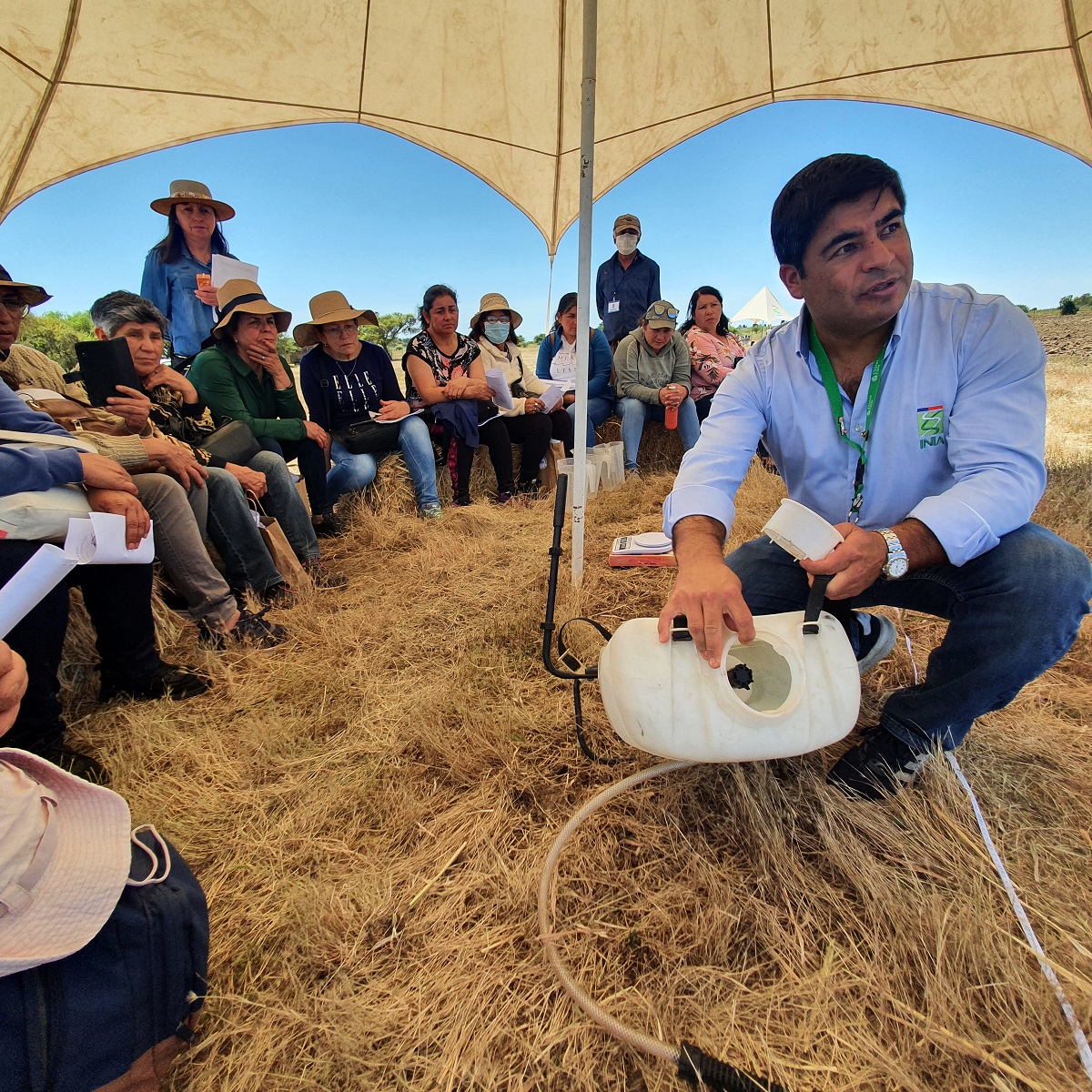 TRADICIONAL DÍA DE CAMPO REÚNE A MÁS DE 100 AGRICULTORES EN INIA HIDANGO 2