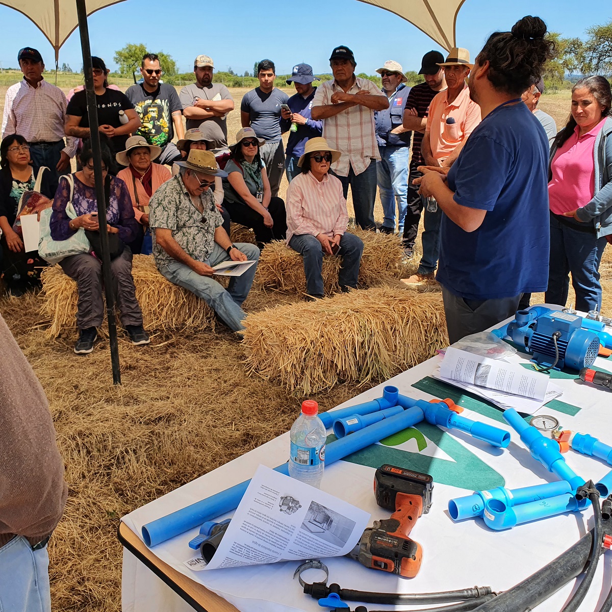 TRADICIONAL DÍA DE CAMPO REÚNE A MÁS DE 100 AGRICULTORES EN INIA HIDANGO 4