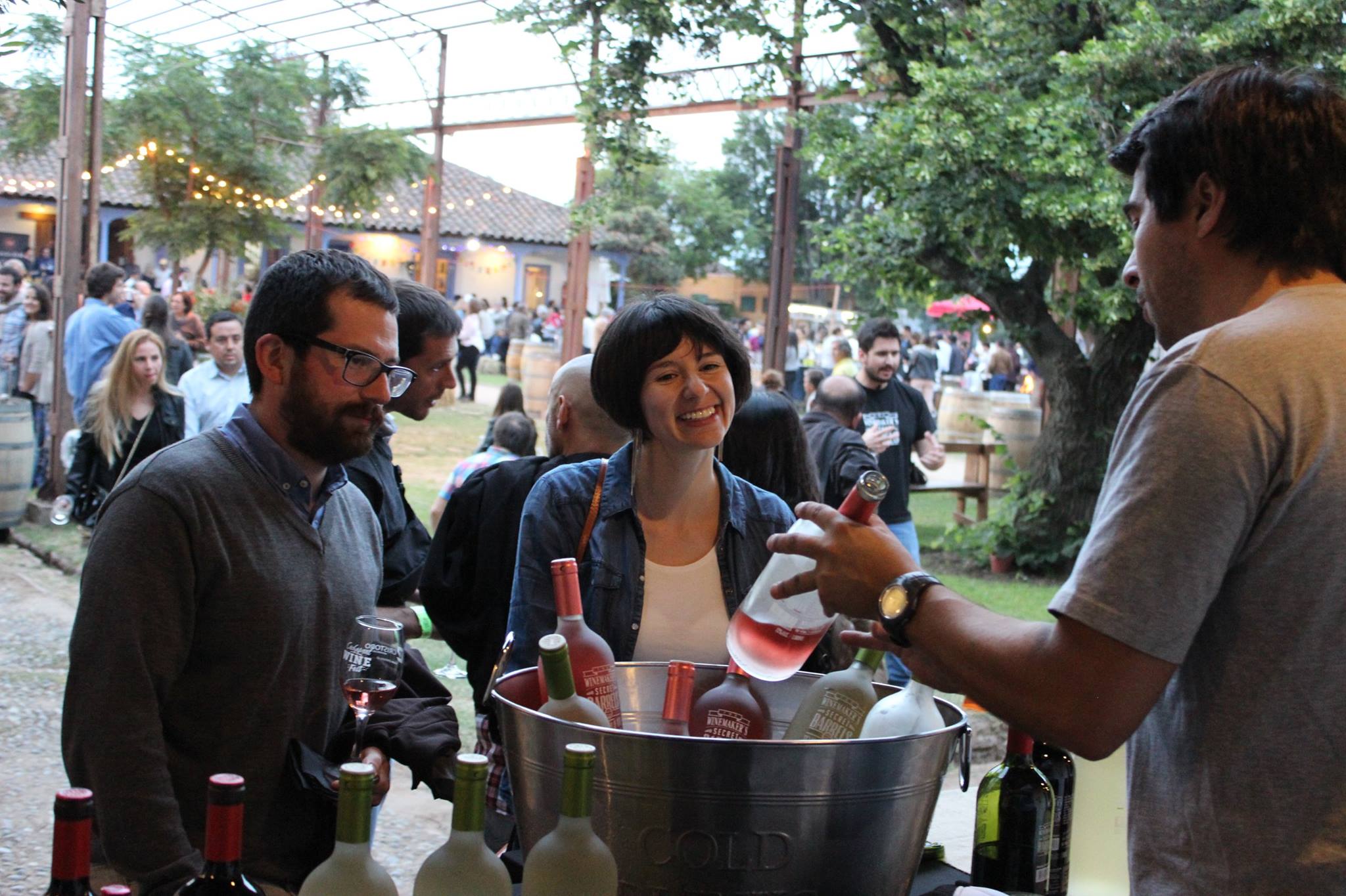 VIVE LA EXPERIENCIA EN TORNO AL VINO Y LA GASTRONOMÍA EN CACHAPOAL WINE FEST 2022