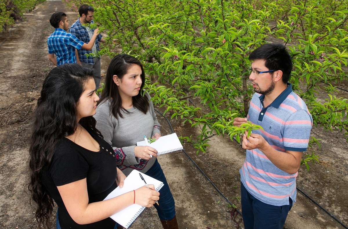 Universidad de OHiggins expondrá en Expo Chile Agrícola 2022