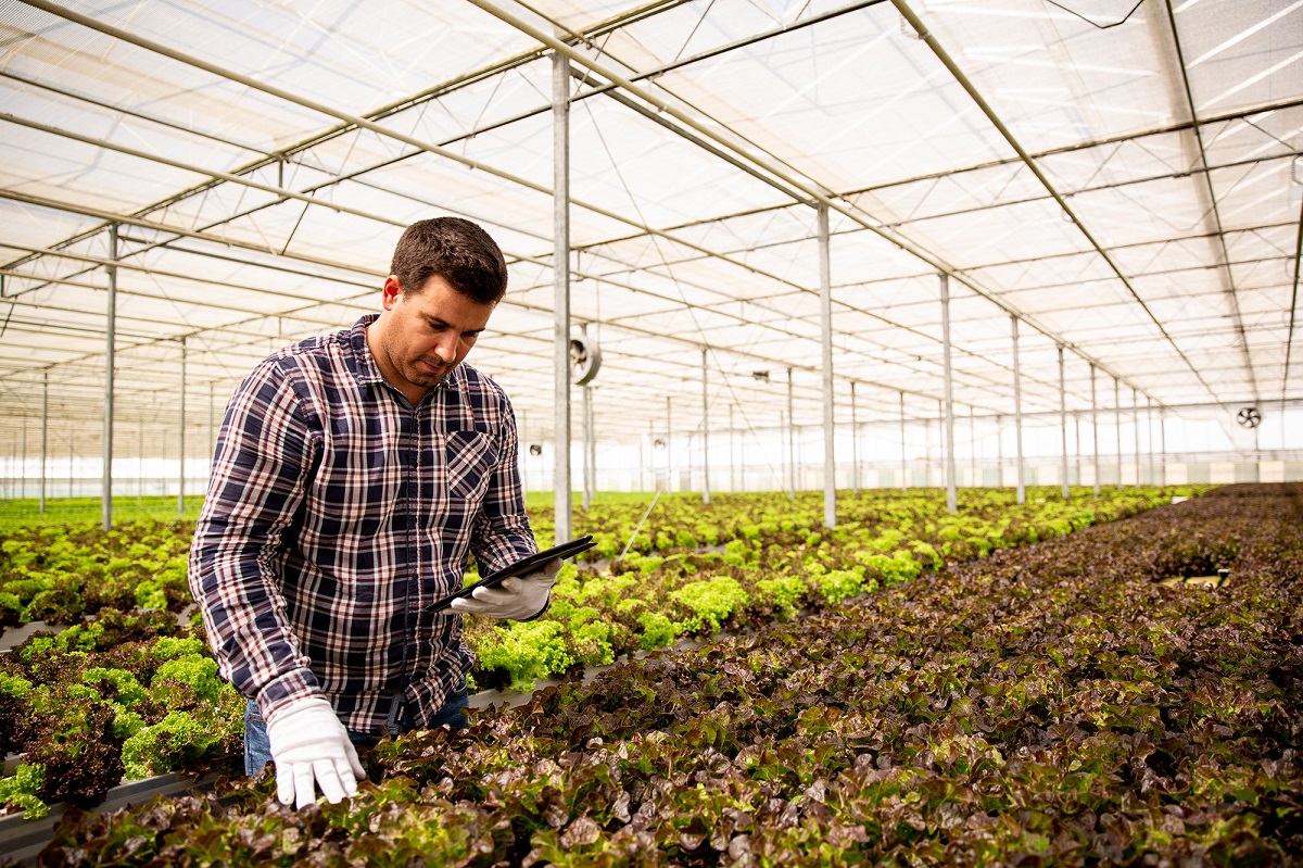 CONVENIO ENTRE HORTICRECE Y CENTRO UNIVERSITARIO DE MÉXICO PERMITIRÁ LLEVAR LA AGRICULTURA PROTEGIDA A HORTICULTORES DE OHIGGINS 1 Invernadero II