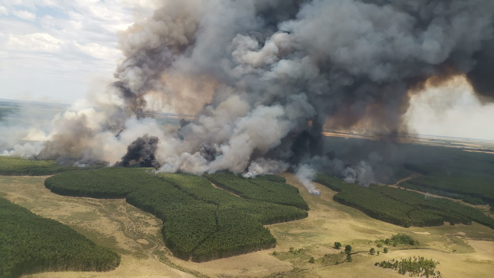 BRIGADISTAS FORESTALES URUGUAYOS SE CAPACITAN EN CHILE PARA EL COMBATE DE INCENDIOS Incendio Uruguay 1